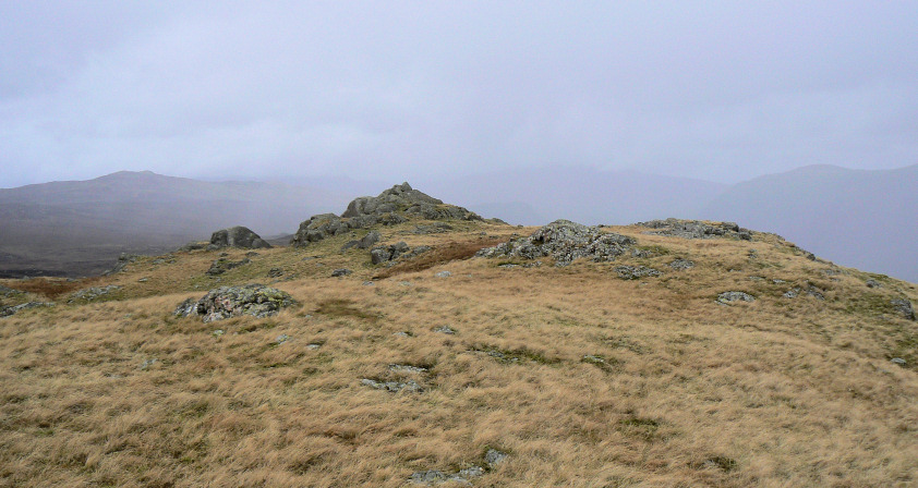 Blea Tarn Fell's summit Blea Tarn Fell's summit